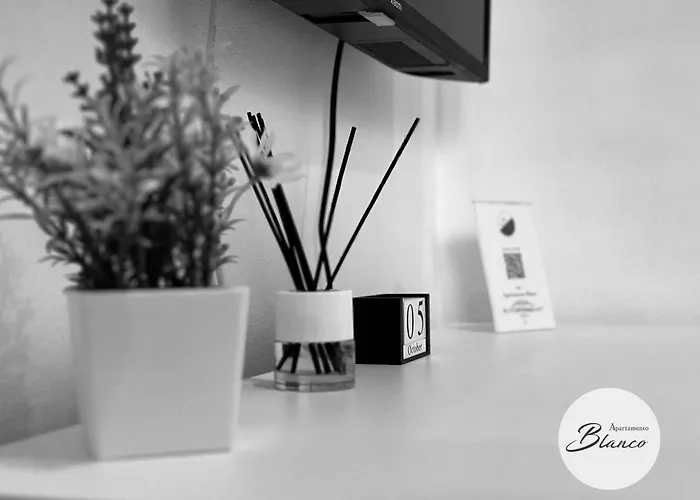 Apartamentos Blanco & Negro